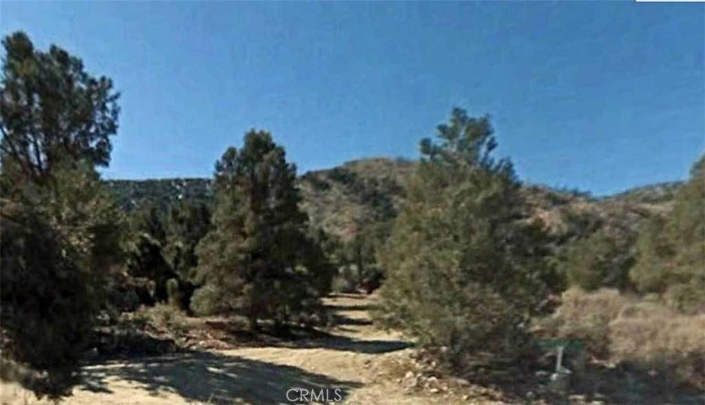 Big Bear, CA 92314,0 Lot 59 Avenue E