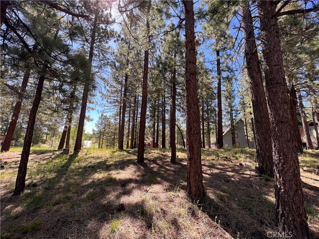 Big Bear Lake, CA 92315,39761 Lakeview DR