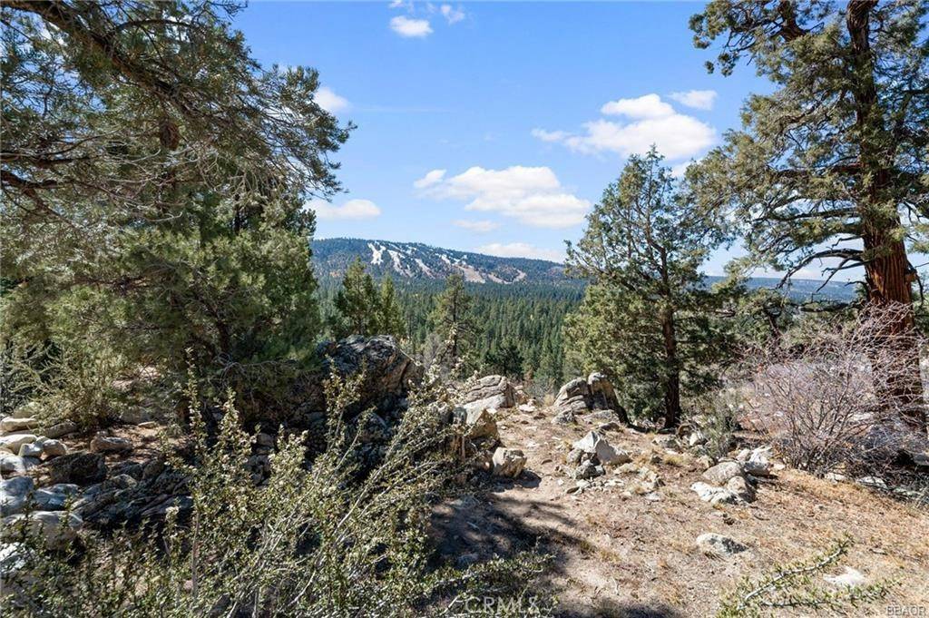 Big Bear Lake, CA 92315,42565 Pegasus WAY