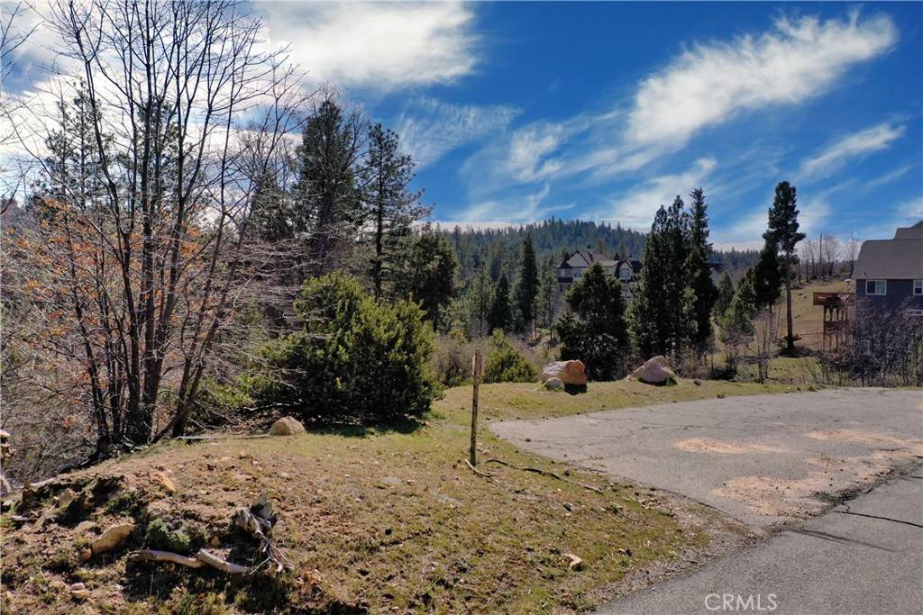 Lake Arrowhead, CA 92352,0 Modoc LN