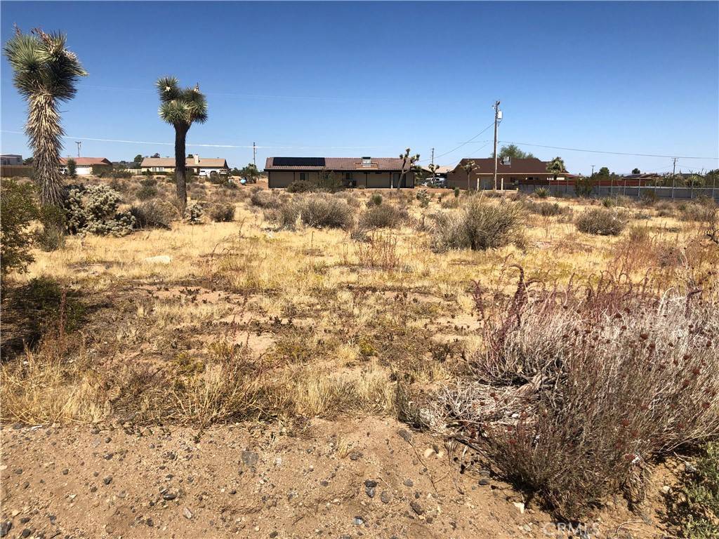 Yucca Valley, CA 92284,0 Pimlico ST