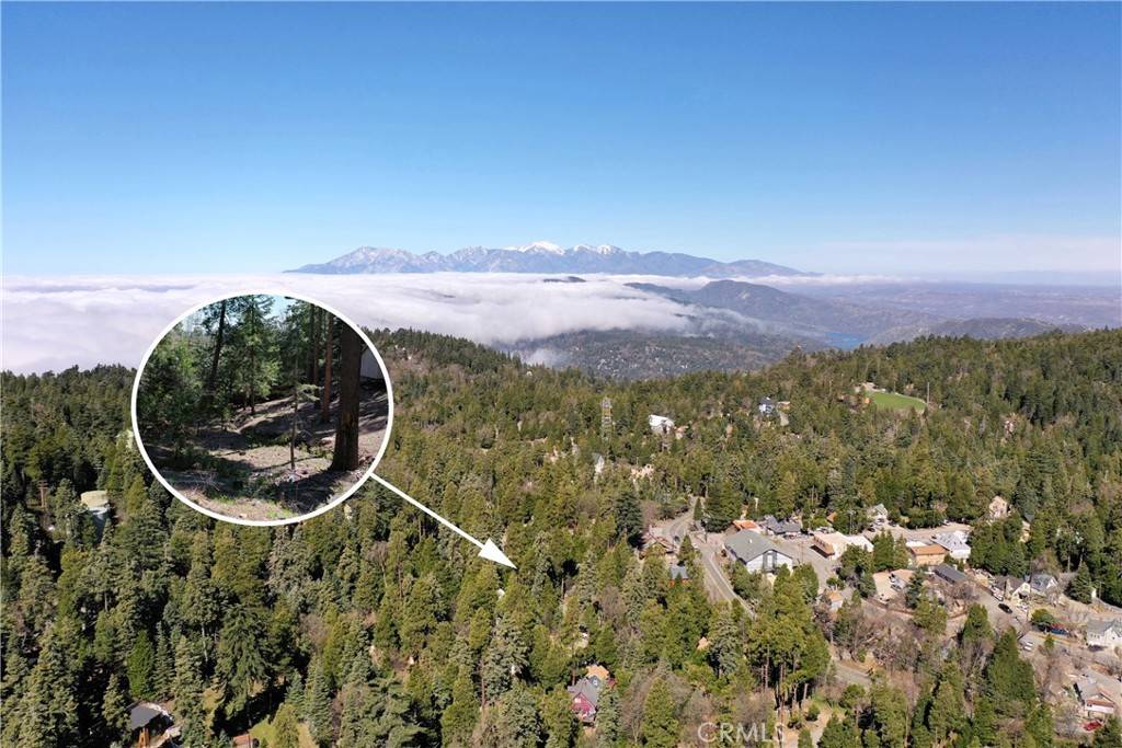 Twin Peaks, CA 92391,117 Lot 177 Lake View LN