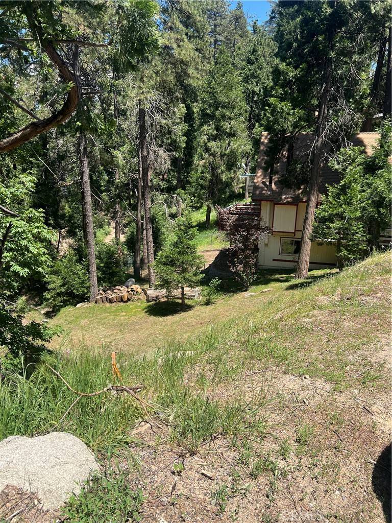 Crestline, CA 92325,24580 Bernard DR