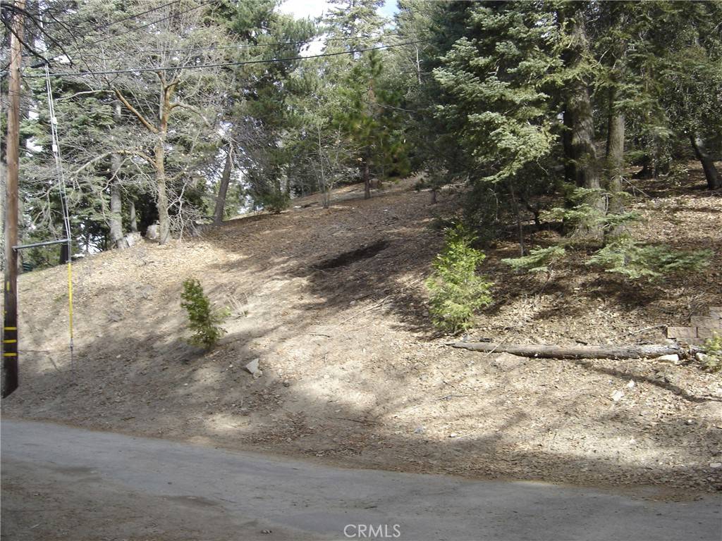 Twin Peaks, CA 92391,0 Pine Trail
