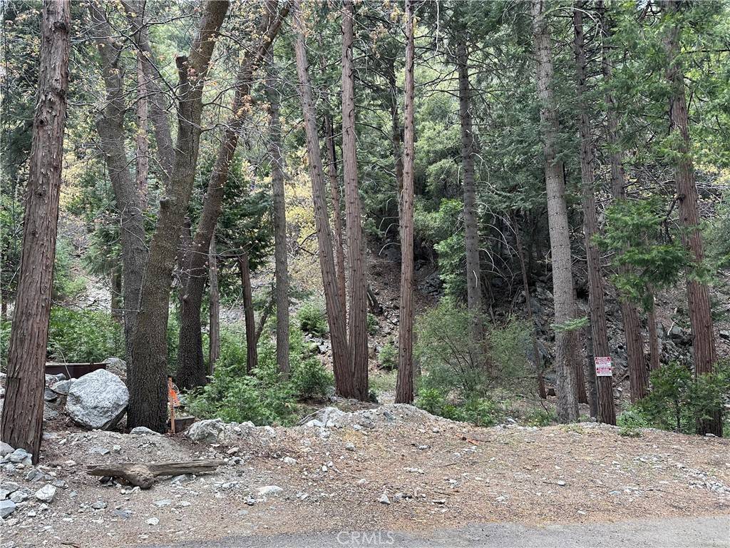 Forest Falls, CA 92339,0 Canyon DR