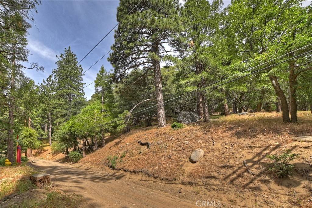 Cedarpines Park, CA 92322,110 Lots 110-123 Burnt Mill Canyon RD