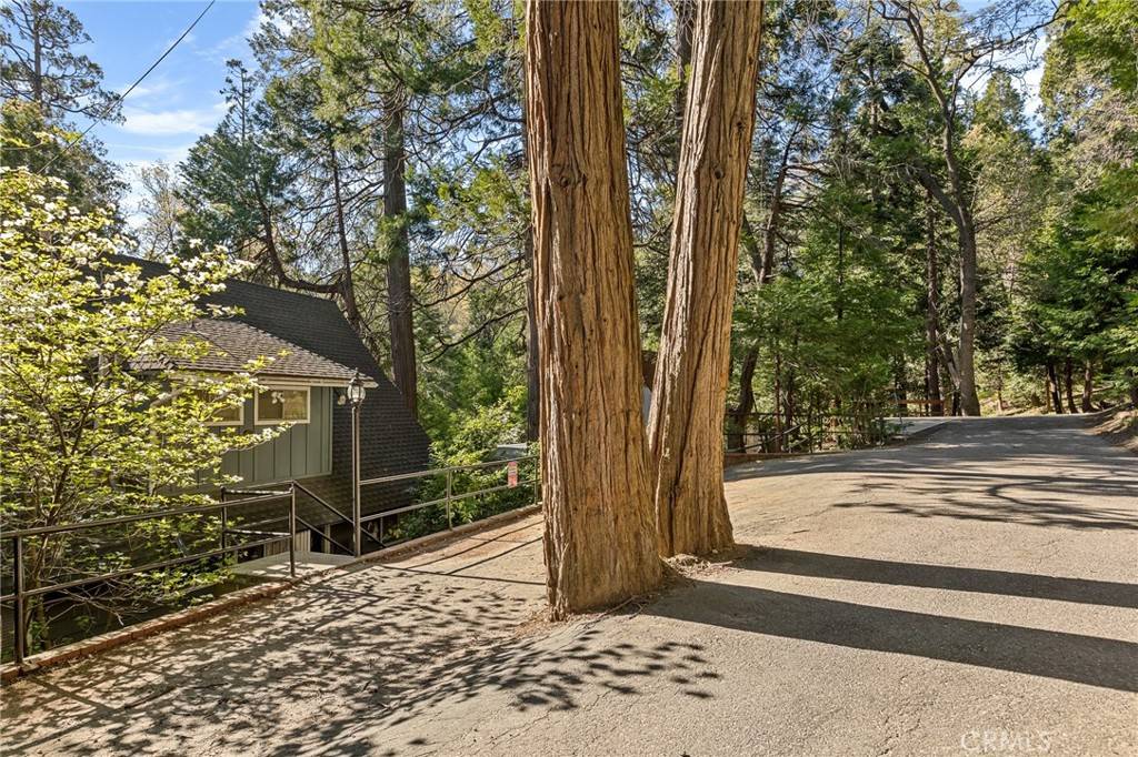 Lake Arrowhead, CA 92352,384 Primrose CIR