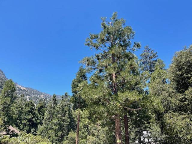 Forest Falls, CA 92339,41489 Island DR