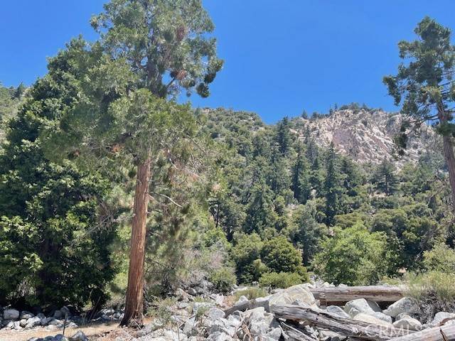 Forest Falls, CA 92339,9311 Creek CT