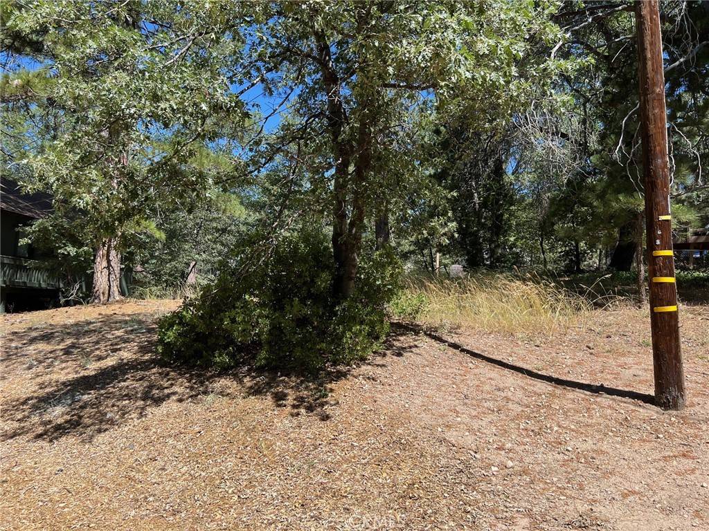 Arrowbear, CA 92382,35 Tulip LN