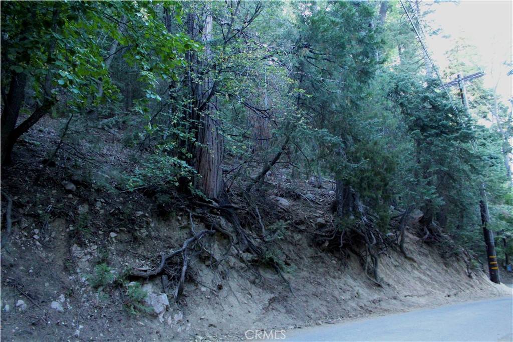 Lake Arrowhead, CA 92352,0 Community