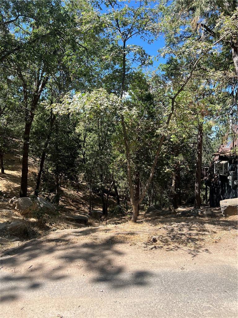 Crest Park, CA 92326,0 Burnt Mill DR