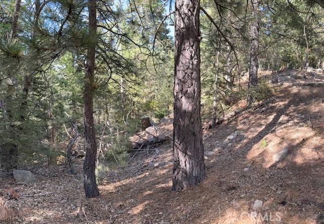 Crest Park, CA 92326,0 Canyon DR