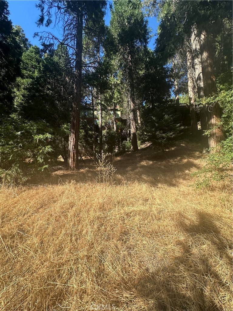 Crestline, CA 92325,0 Valle DR