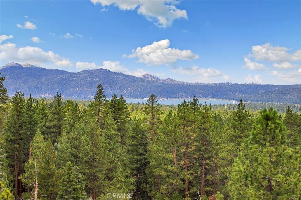 Big Bear Lake, CA 92315,43427 Ridgecrest DR