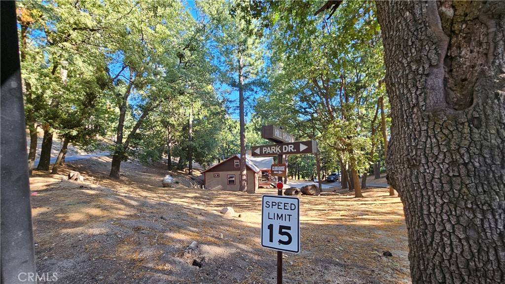 93 Park DR Running Springs, CA 92382