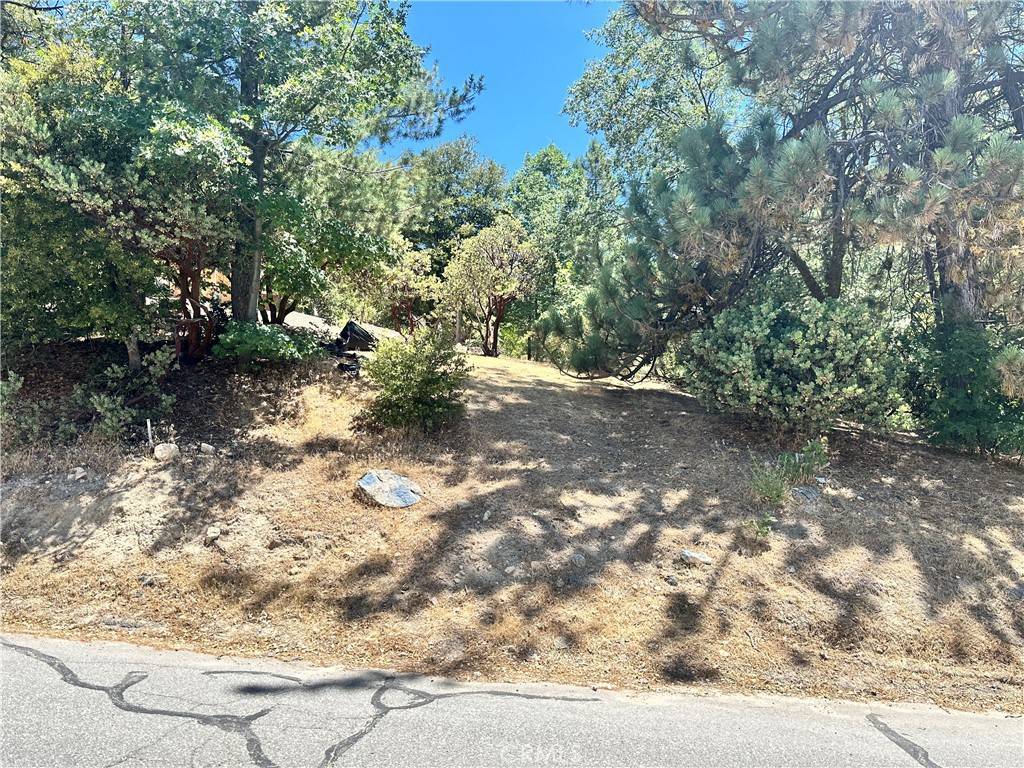 Lake Arrowhead, CA 92352,38 Sandalwood CT