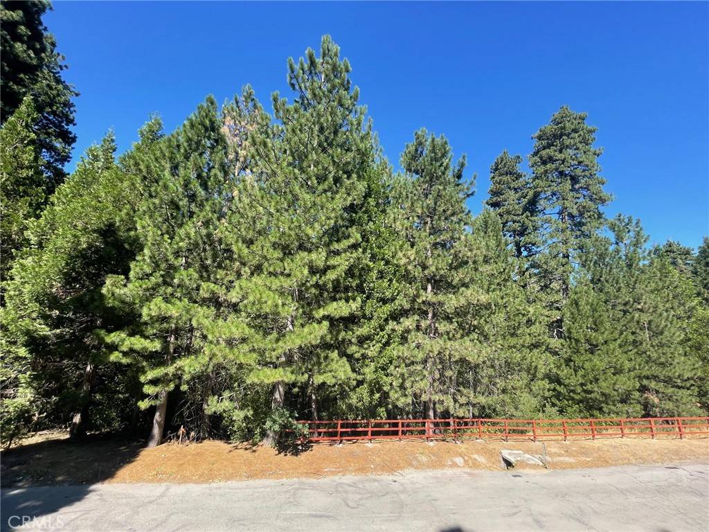 Lake Arrowhead, CA 92352,585 Karenken Pines RD