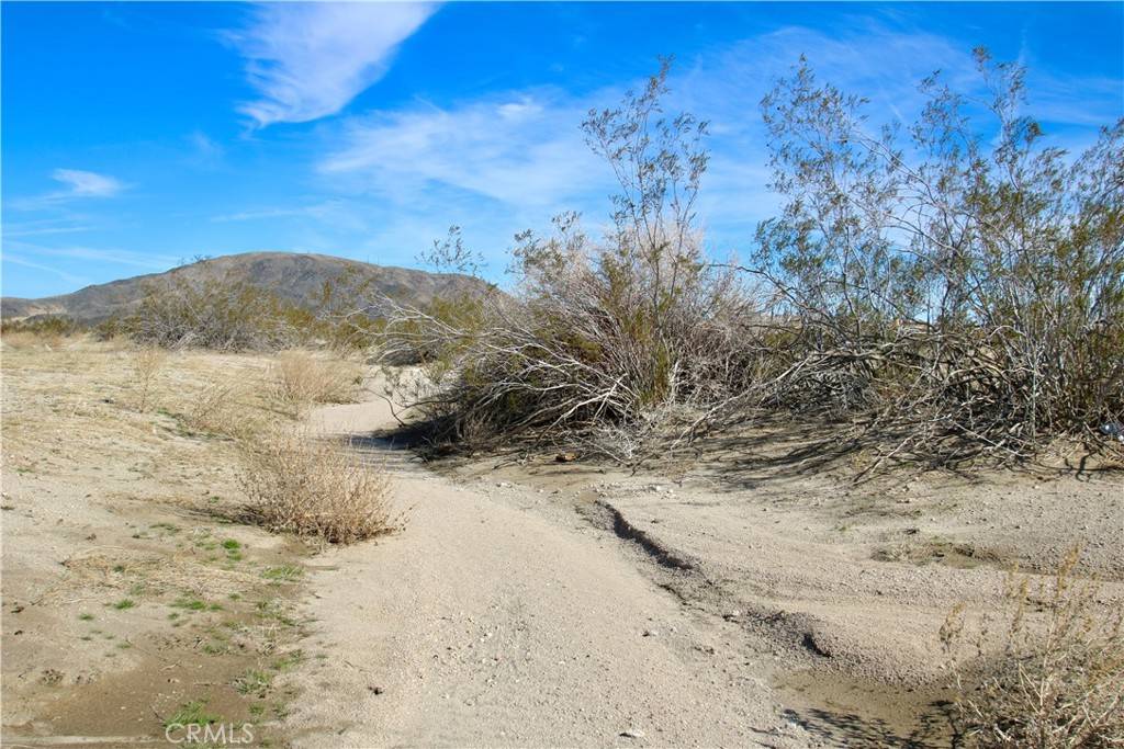 Joshua Tree, CA 92252,22 Lots 22 & 23 Near Cascade RD