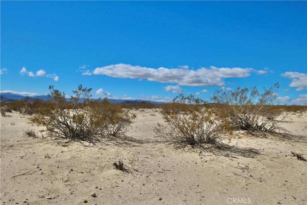 Joshua Tree, CA 92252,16 Lot 16 Learco WAY