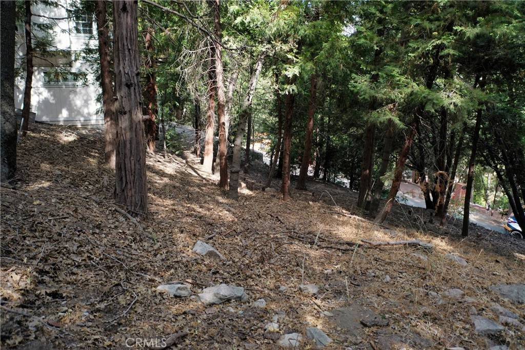 Crestline, CA 92325,127 Lot 127 Basel DR