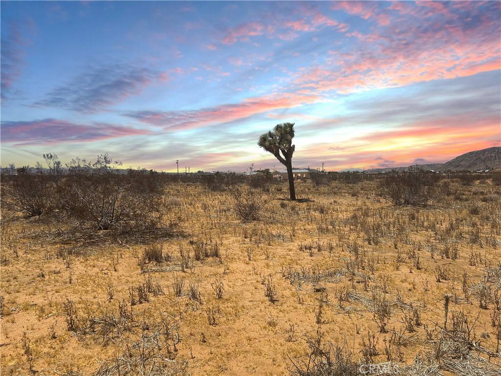 Yucca Valley, CA 92284,0 Kuna AVE