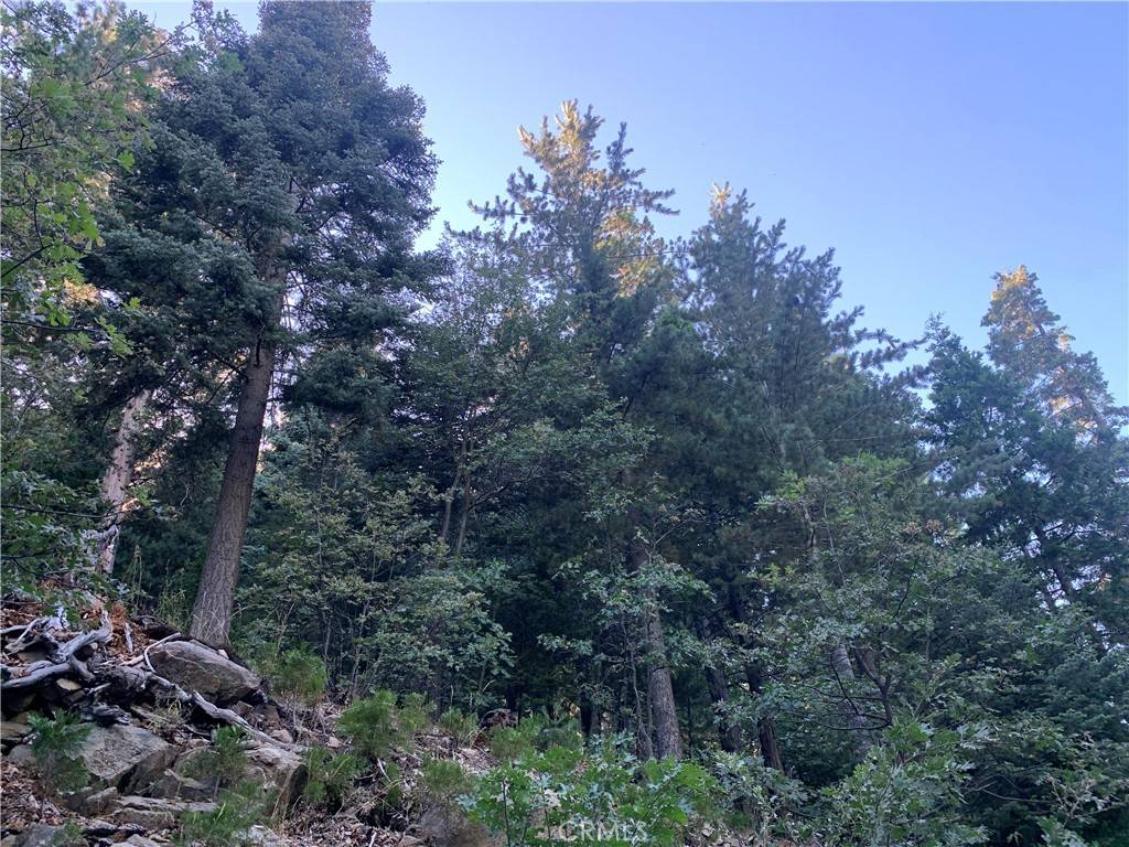 Twin Peaks, CA 92391,0 Lake Forest DR