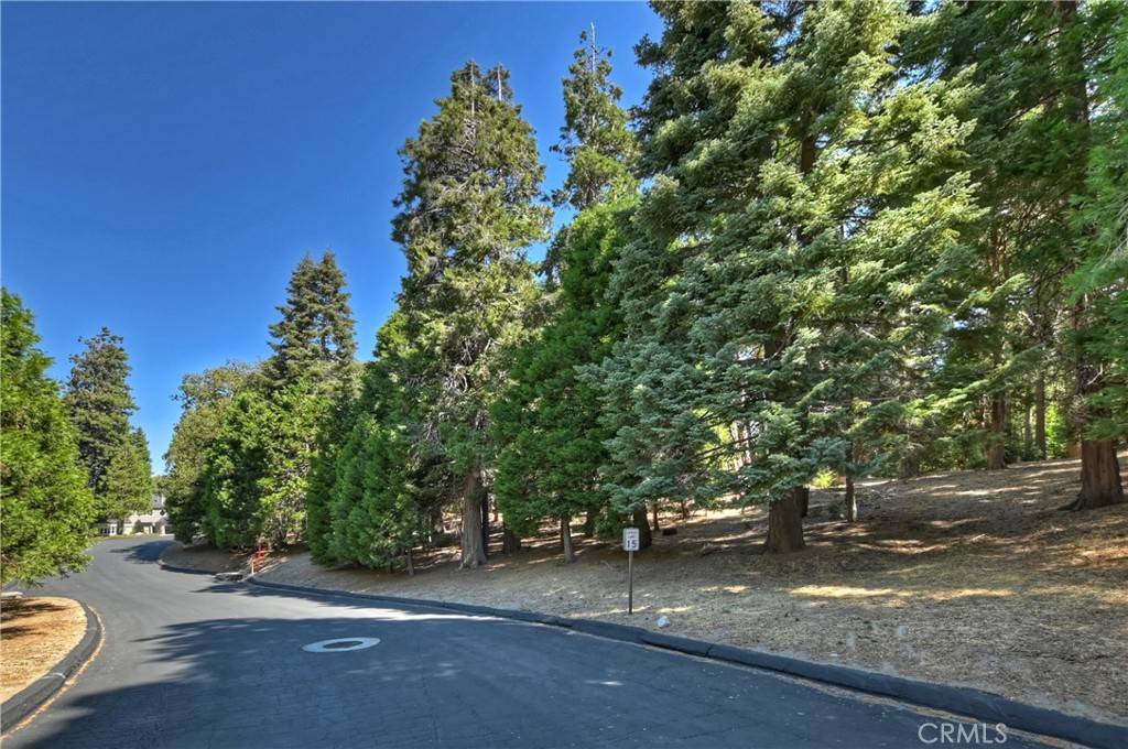 Lake Arrowhead, CA 92352,388 Cedar Ridge DR