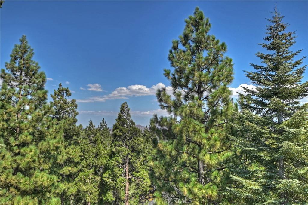 Lake Arrowhead, CA 92352,303 N Fairway DR