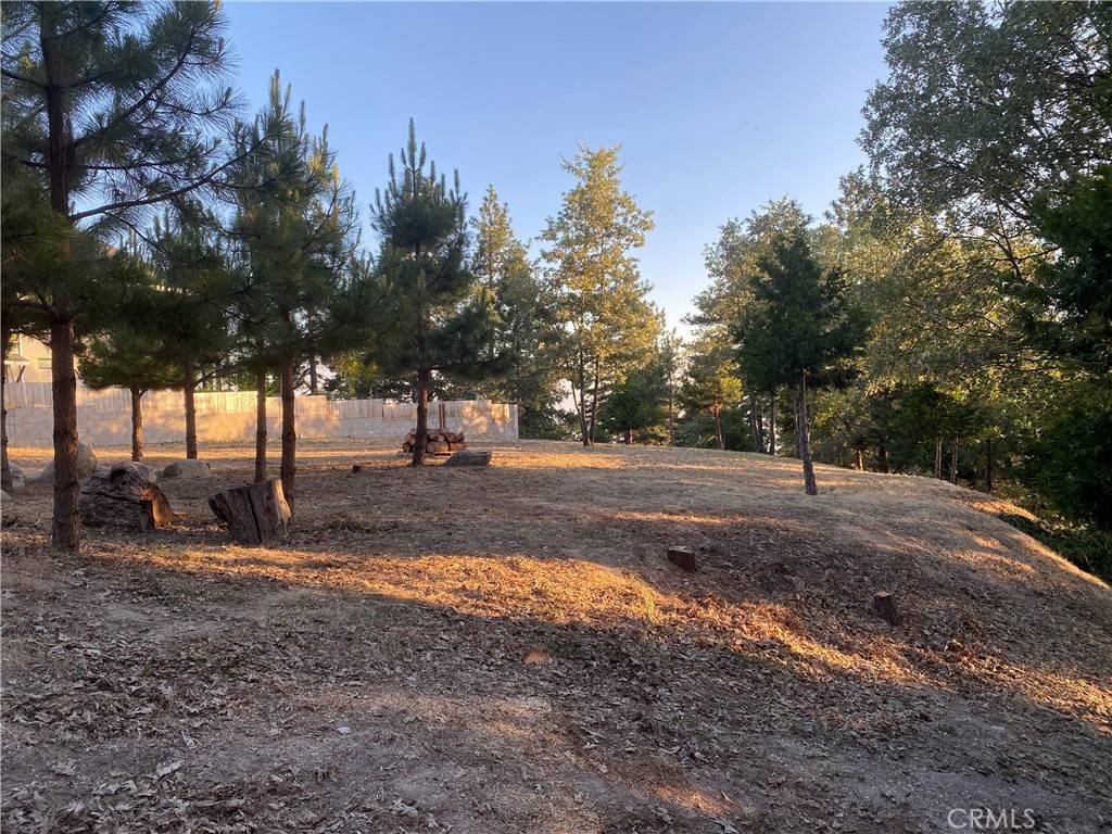 Running Springs, CA 92382,30058 Magic DR