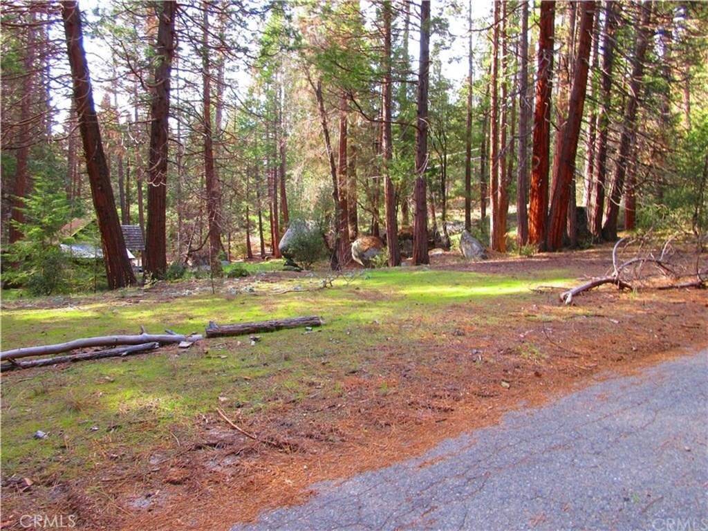 Yosemite, CA 95389,0 Loop RD