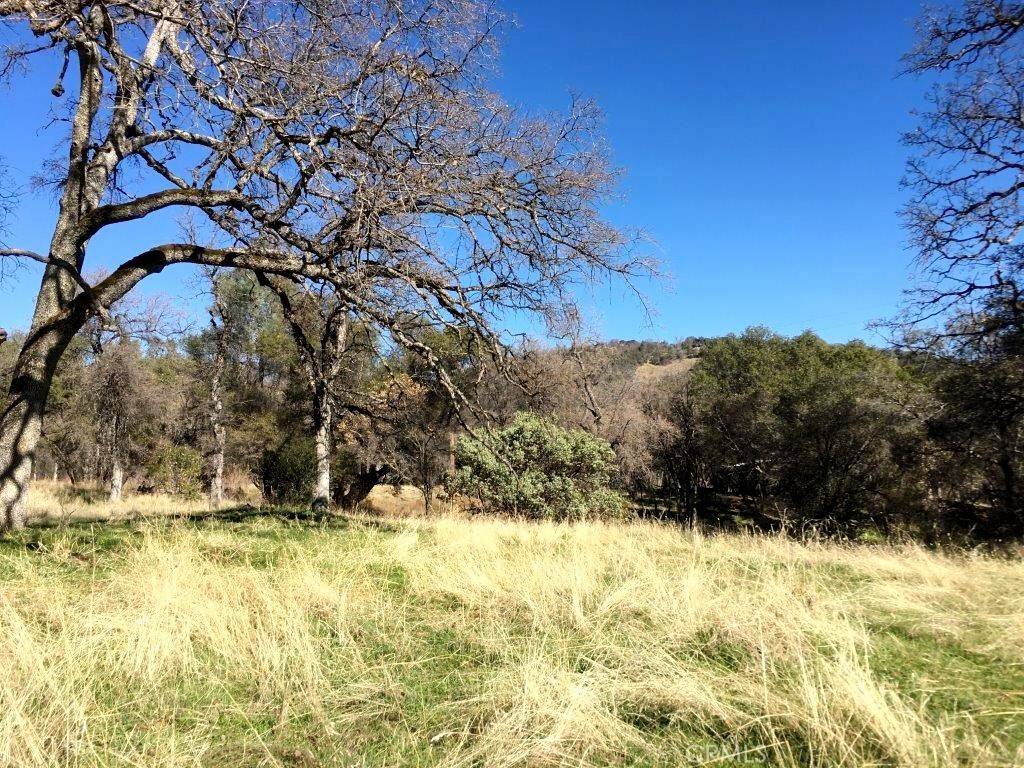 North Fork, CA 93643,0 89.8 AC Piute RD