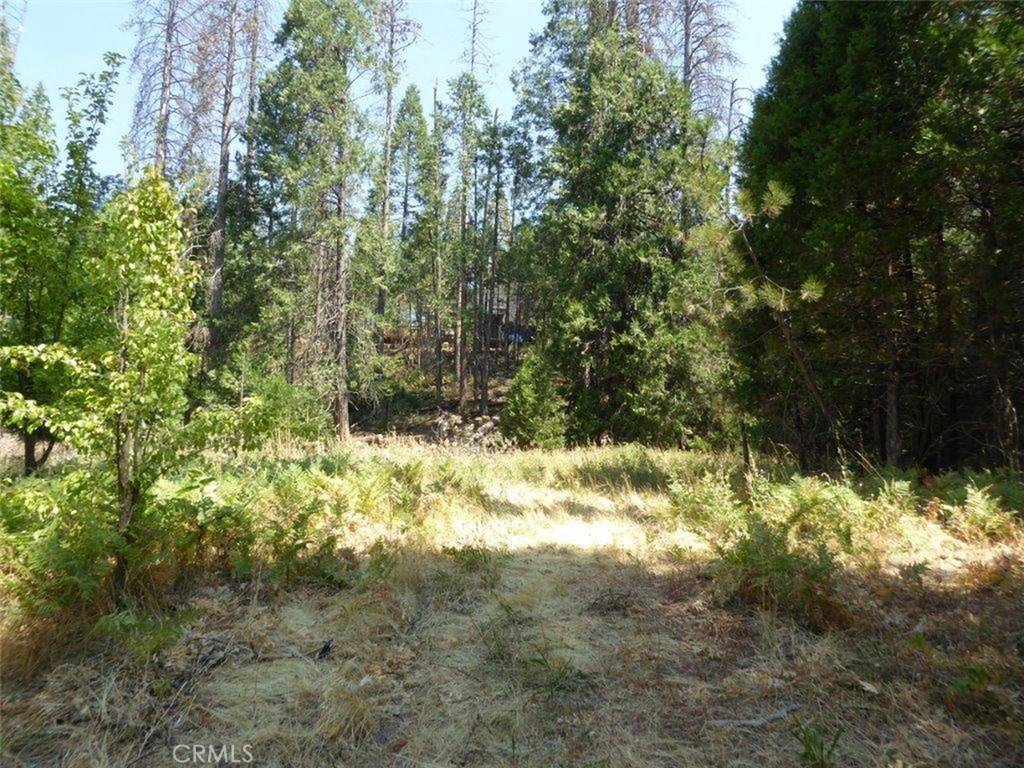 North Fork, CA 93643,0 Lot 44 Cascadel DR S