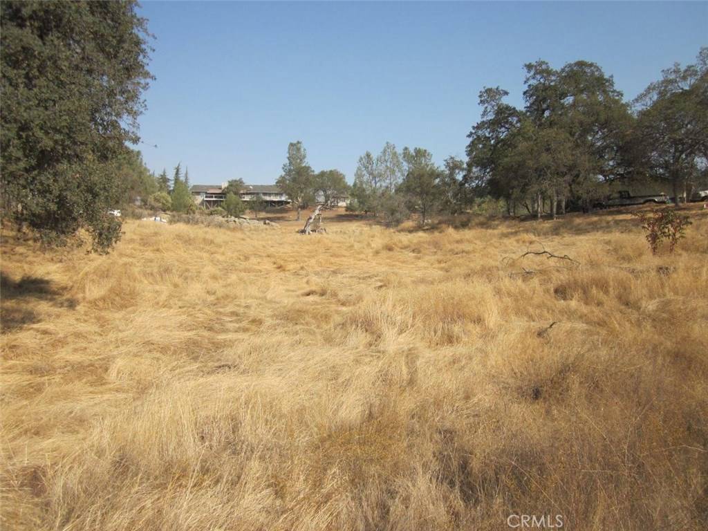 Coarsegold, CA 93614,0 1.07AC Holiday DR