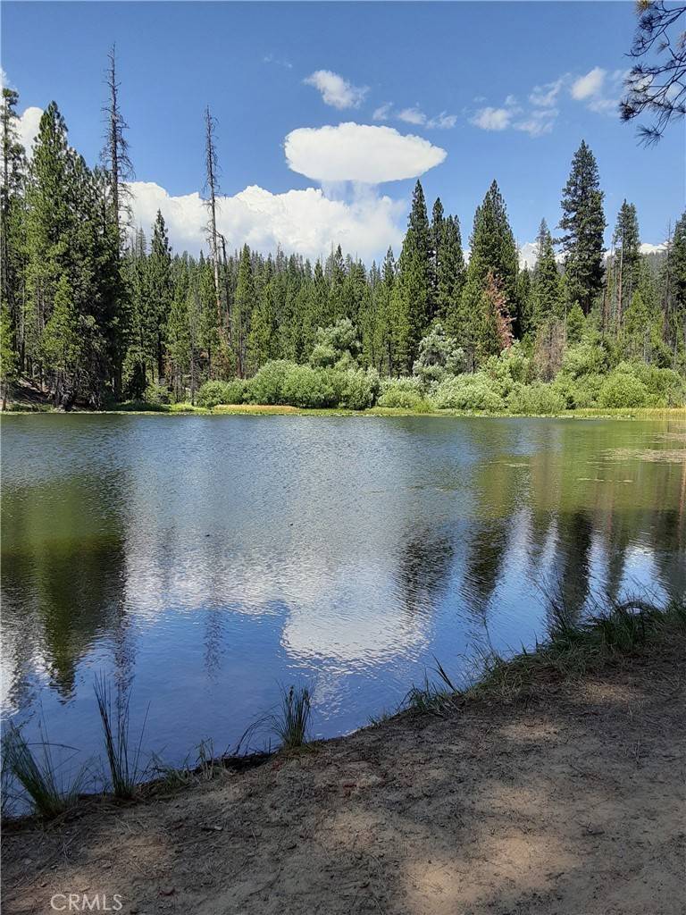 North Fork, CA 93643,90 Tamarack Trail