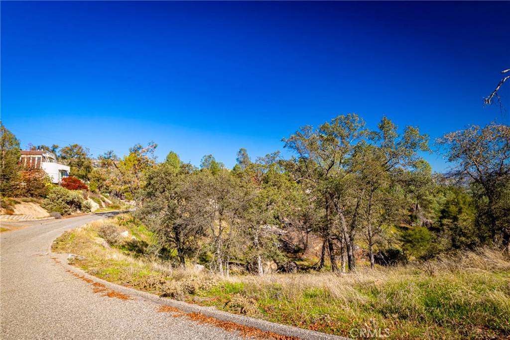 Coarsegold, CA 93614,0 S Long Hollow CT