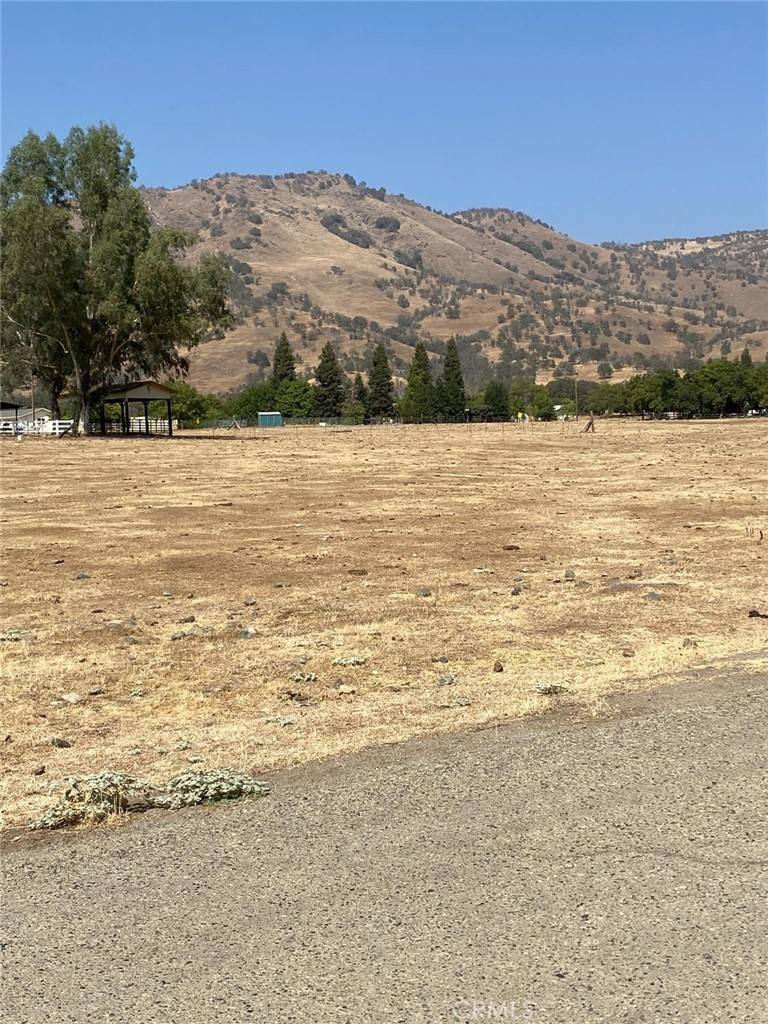 Sanger, CA 93657,0 Live Oak Lot 290 DR