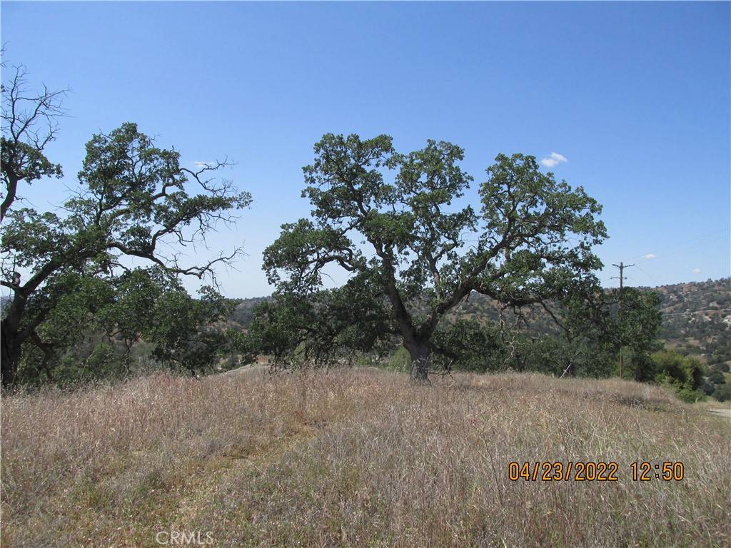 Coarsegold, CA 93614,0 4.65 AC Lilley Mountain DR