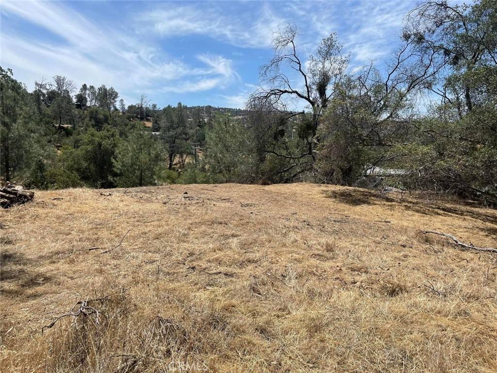 Coarsegold, CA 93614,0 Lot 1694 Long Hollow DR