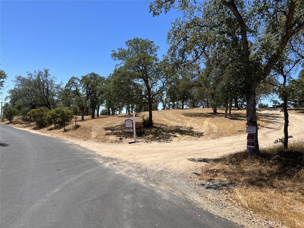 Coarsegold, CA 93645,0 77.62AC Longview Ln E LN E