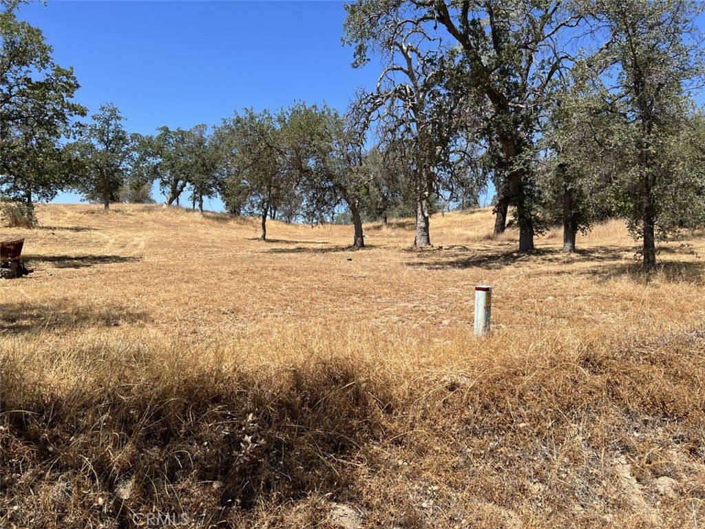 Coarsegold, CA 93645,0 77.62AC Longview Ln E LN E