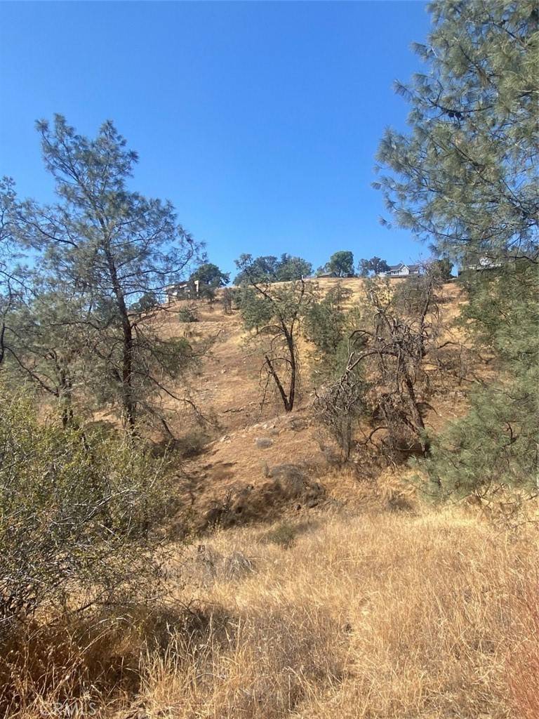 Friant, CA 93626,0 .38 AC Hidden Lake BLVD