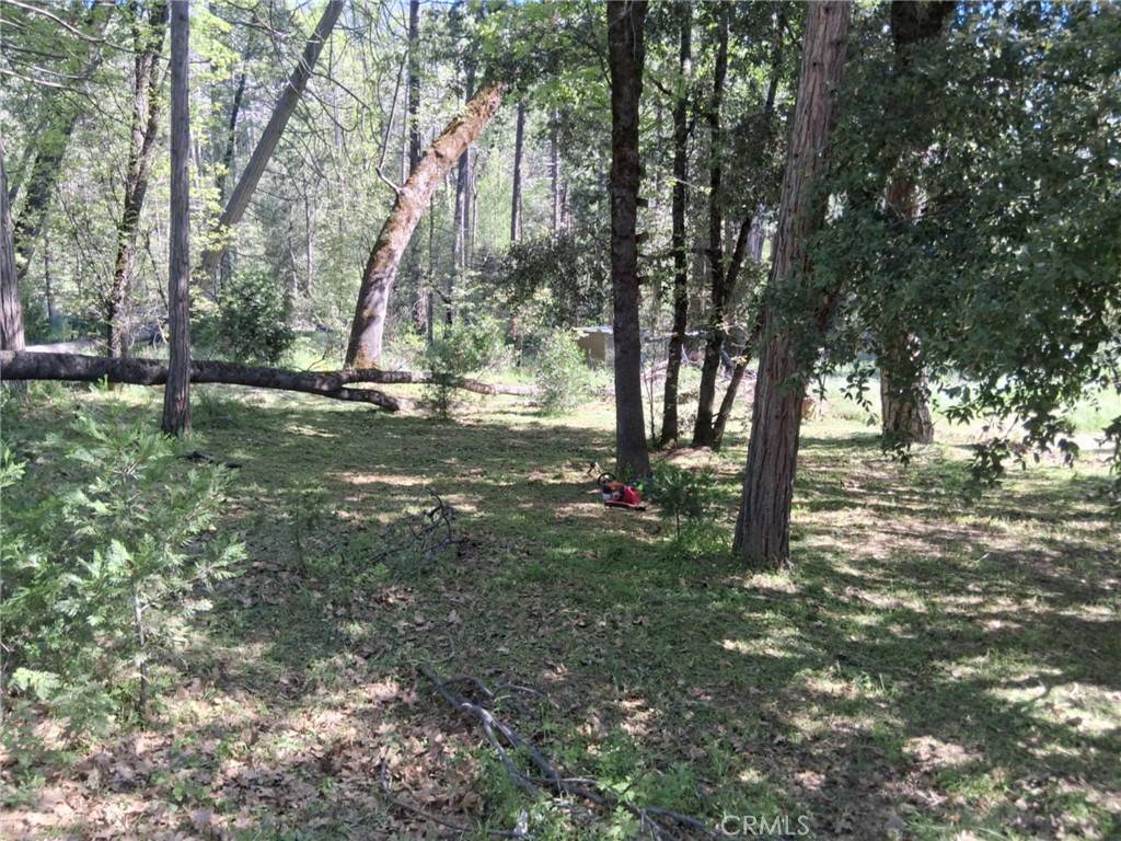 North Fork, CA 93643,8 S Cascadel DR S