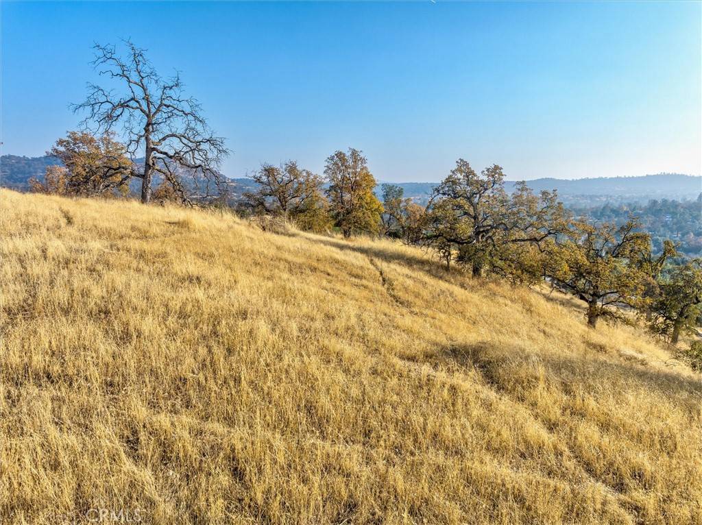 Coarsegold, CA 93614,0 Lot 2207 Copper Creek DR