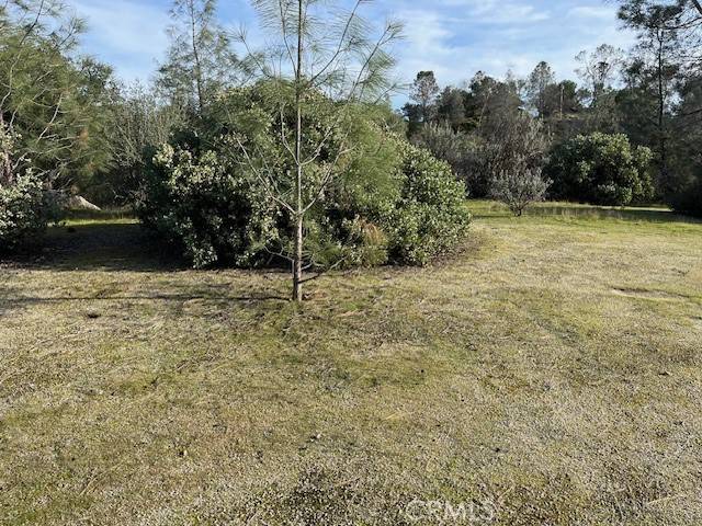 Coarsegold, CA 93614,0 S Long Hollow CT
