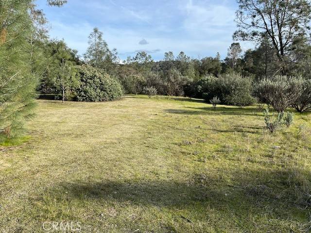 Coarsegold, CA 93614,0 S Long Hollow CT
