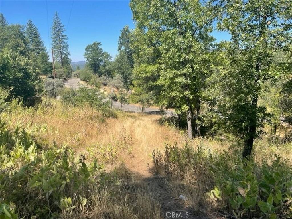 North Fork, CA 93643,0 Lot 3 Peckinpah Acres DR