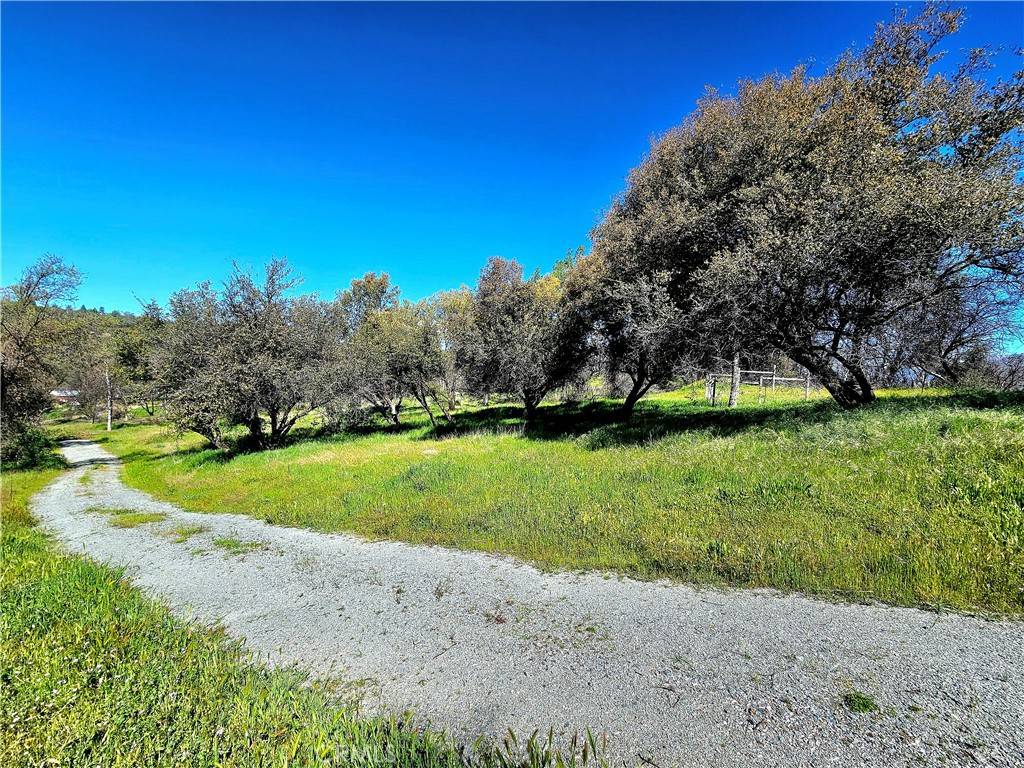 North Fork, CA 93643,32485 Road 228