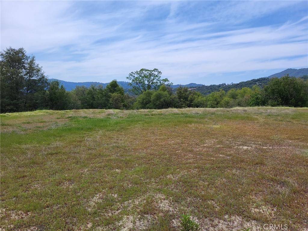 Ahwahnee, CA 93601,9 Valley Oak Drive