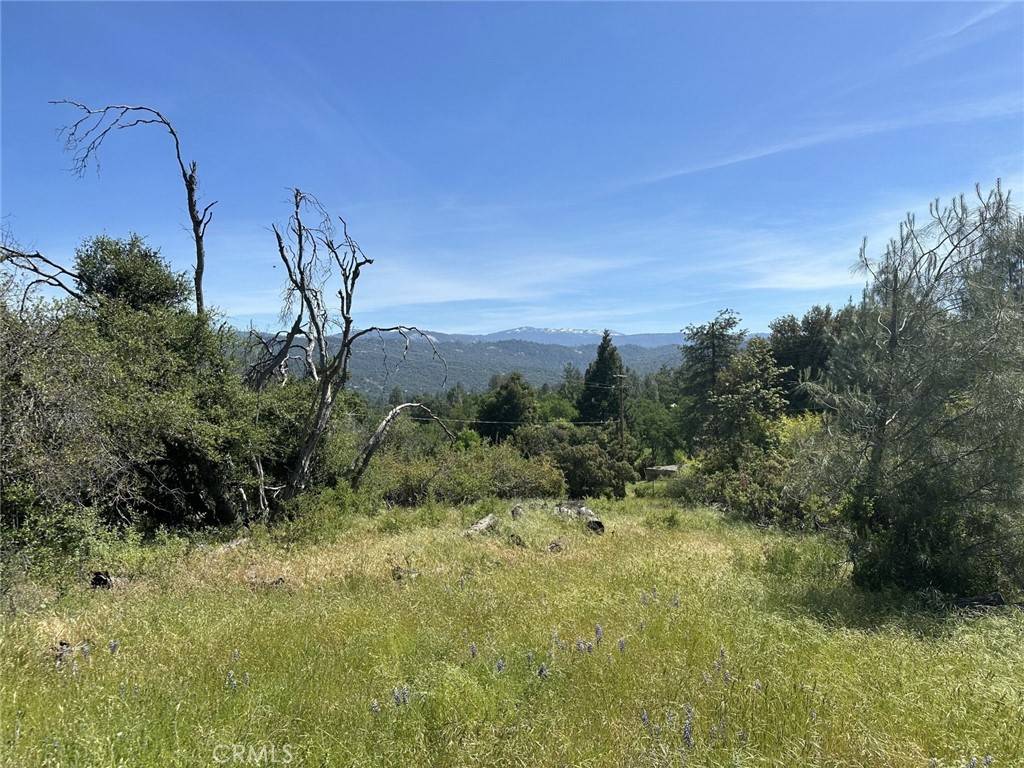 Oakhurst, CA 93644,0 1.68 AC Deerview LN